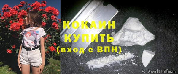 молекула духа Богородск